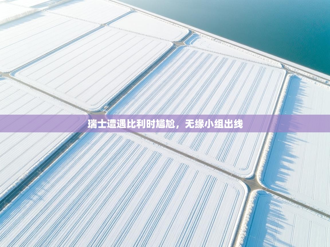 瑞士遭遇比利时尴尬，无缘小组出线  第1张